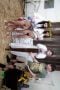 chastity-doll-julia-james-breeding-material-breed-breakfast-they-were-practically-begging-for-my-seed-6